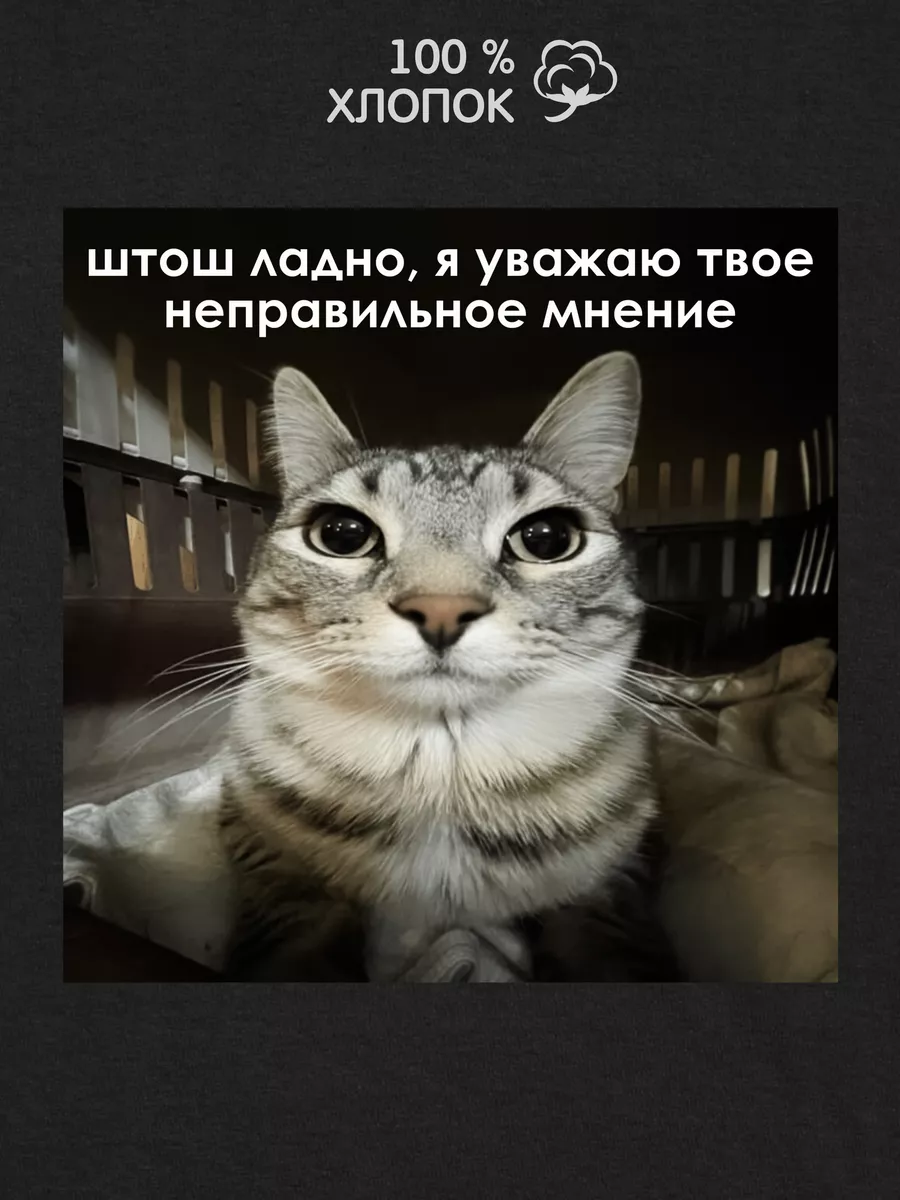 Футболка оверсайз с...