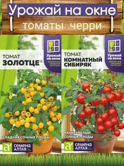 Семена томатов урожай на окне и огороде Семена Алтая 252794427 купить за 174 ₽ в интернет-магазине Wildberries