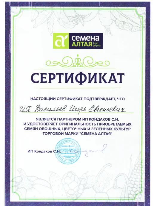 Семена Алтая Семена зелени, зеленый, фото 2