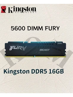 Модуль памяти 16GB DDR5 5600 DIMM FURY (KF556C36BBEAK2-16) Kingston 252828549 купить за 6 719 ₽ в интернет-магазине Wildberries