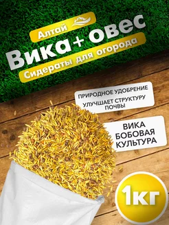 Семена сидератов вика овес 1 кг Вкусы природы 252847288 купить за 150 ₽ в интернет-магазине Wildberries