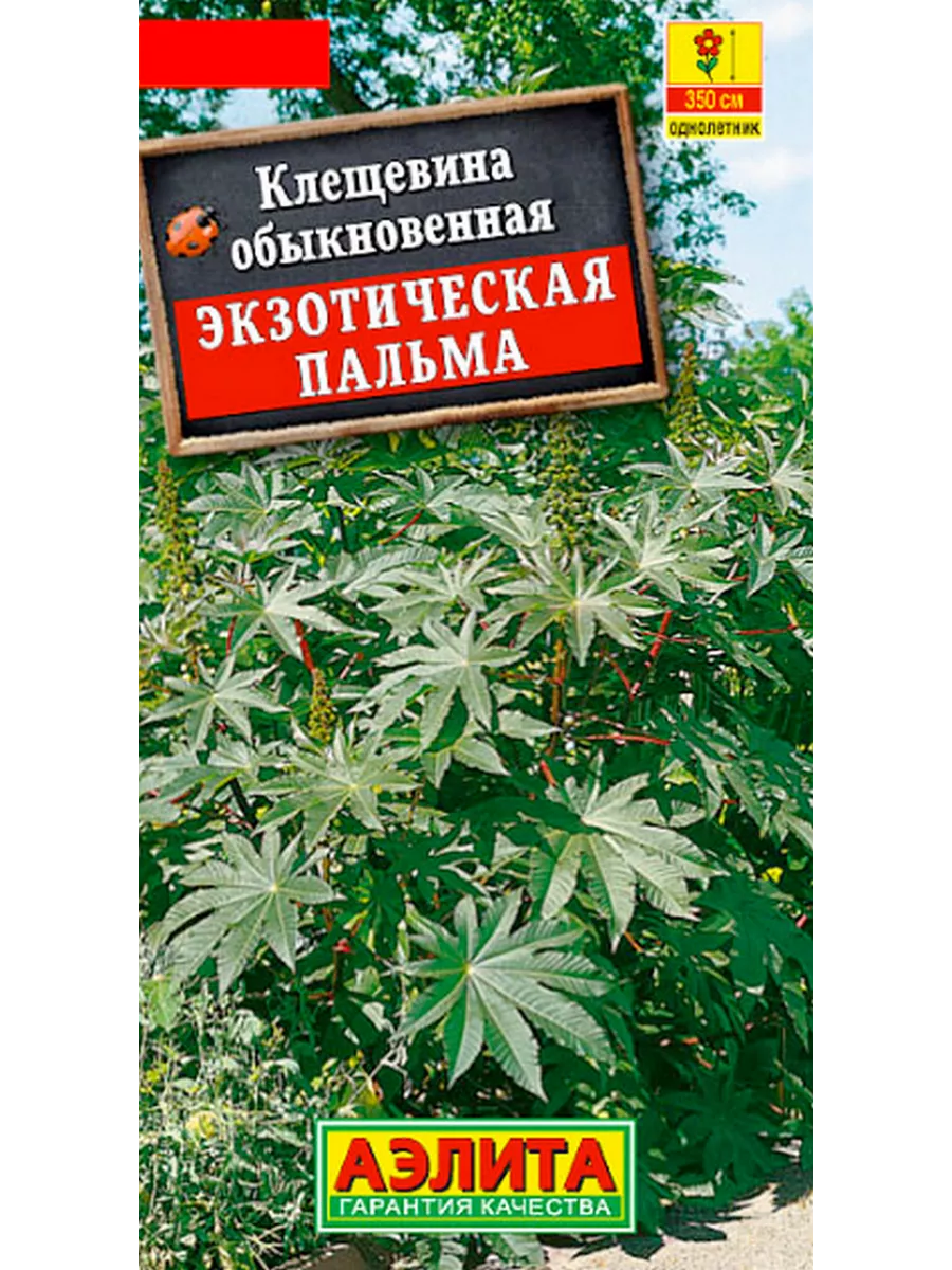 Семена Клещевина Экзотическая пальма, 0.5г