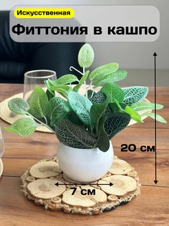 Искусственные цветы в горшке Фиттония GreenHol 253007366 купить за 268 ₽ в интернет-магазине Wildberries