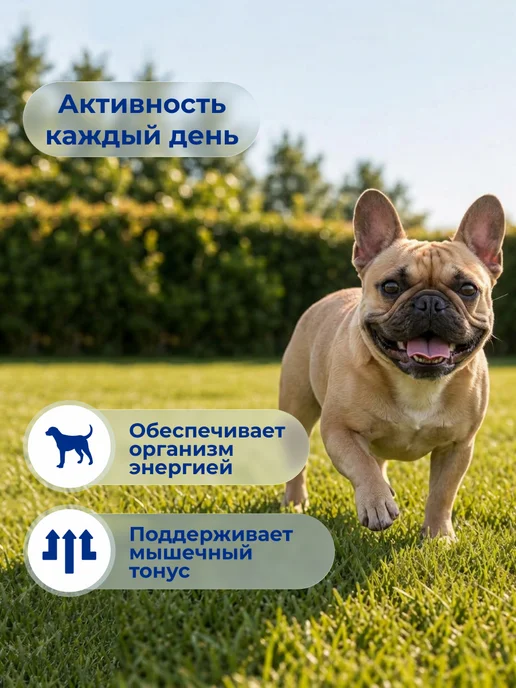 Сухой корм Jarvi elaman для собак, крупные, средние, ягненок, 12 кг, фото 5