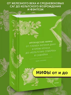 Книга Ирландские мифы