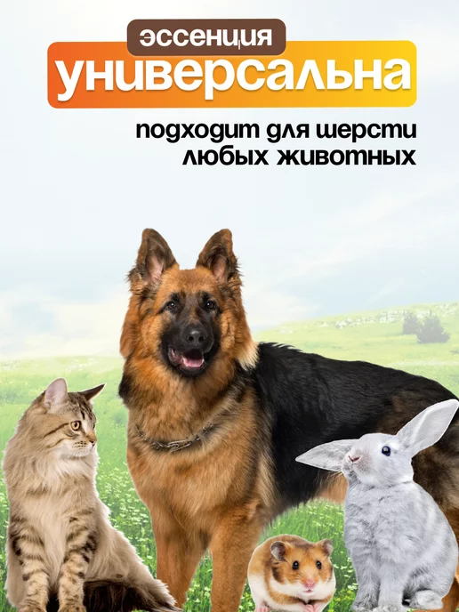 Скачко А.В. Эссенция для паровой щетки, белый, фото 2