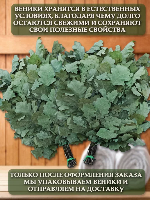 Веники для души Веник для бани березовый и дубовый, веник донника, 3 шт, фото 8