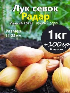 Лук севок для посадки на репку и зелень Семенология 253280497 купить за 318 ₽ в интернет-магазине Wildberries