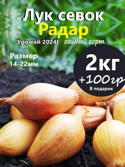 Лук севок для посадки на репку и зелень Семенология 253280498 купить за 499 ₽ в интернет-магазине Wildberries