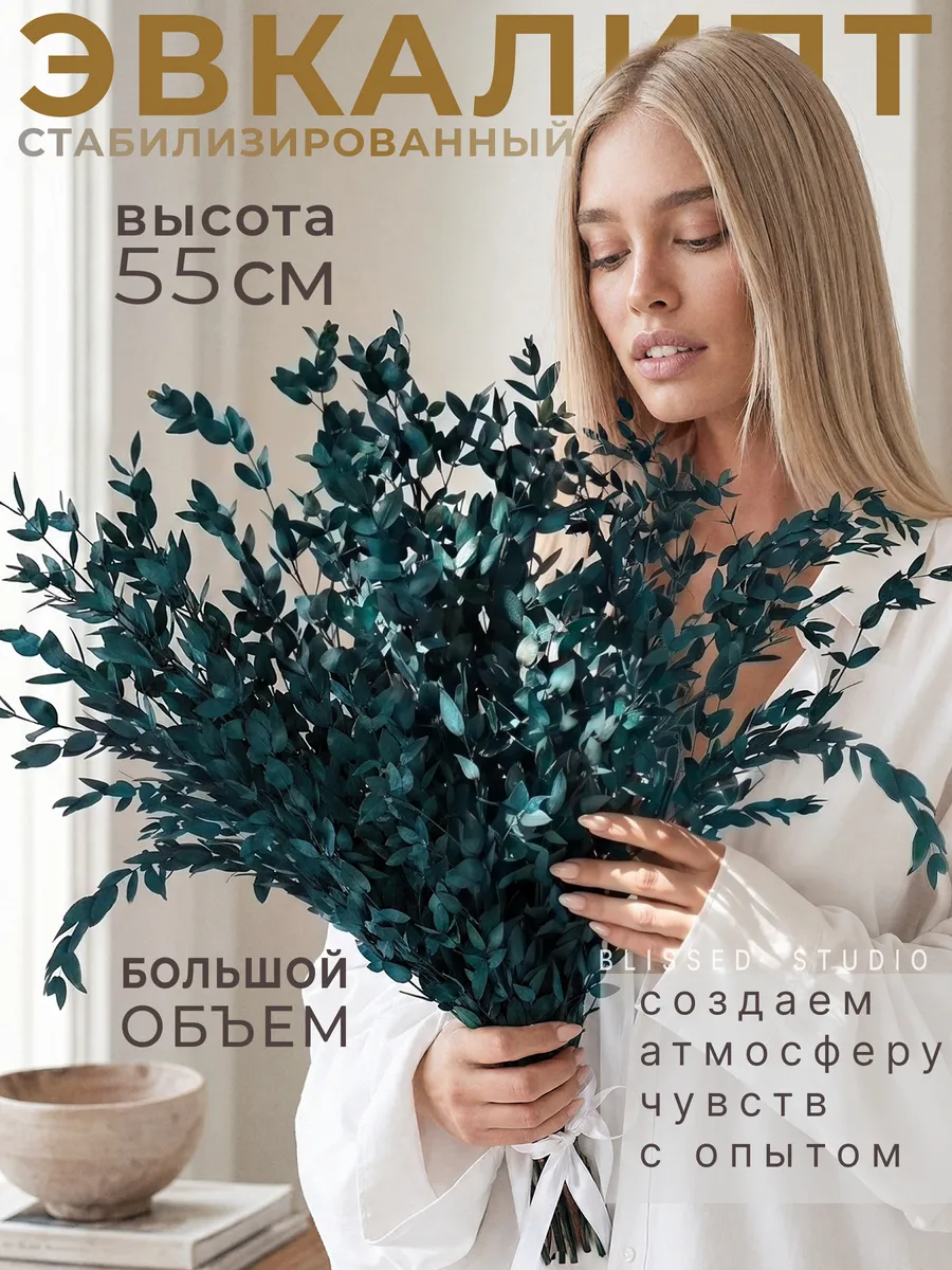 Эвкалипт стабилизированный натуральный сухоцветы для декора