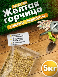 Горчица желтая семена 5 кг Вкусы природы 253380890 купить за 436 ₽ в интернет-магазине Wildberries