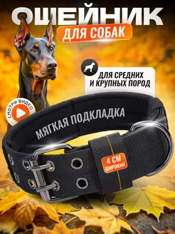 Ошейник для собак средних и крупных пород RICH PETS HOUSE 253421737 купить за 487 ₽ в интернет-магазине Wildberries