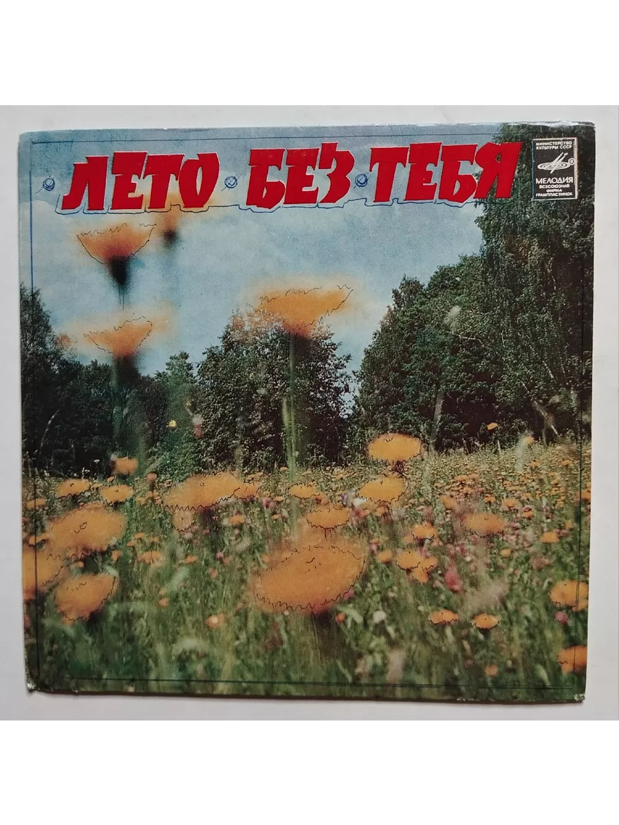 Без тебя как дитя. Лето без тебя. не лето без тебя. лето без тебя как зима.