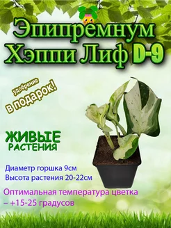 Отзывы на Эпипремнум Хэппи Лиф D-9 Это наш сад 253600072 в интернет‑магазине Wildberries.ru