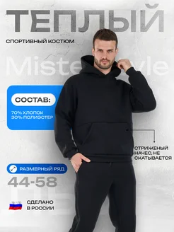 Теплый спортивный костюм с начесом Misterstyle 253658463 купить за 3 505 ₽ в интернет-магазине Wildberries