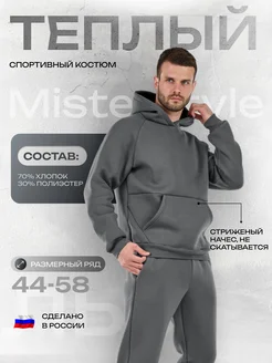 Спортивный костюм теплый с начесом Misterstyle 253658873 купить за 3 920 ₽ в интернет-магазине Wildberries