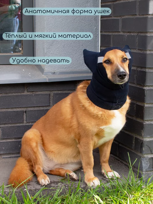 Элегантный Хвост Шапка для собак и кошек чернильная, черный, фото 4