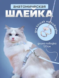 Шлейка анатомическая для кошек и маленьких собак с крыльями KINGDOM pets 253783374 купить за 407 ₽ в интернет-магазине Wildberries