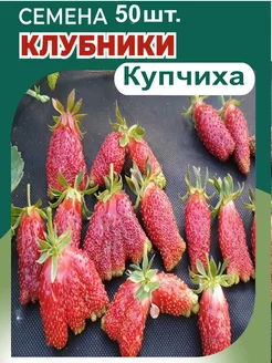 Клубника Купчиха Семена 50шт