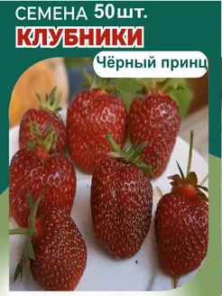 Интернет-магазин Wildberries: широкий ассортимент товаров - скидки каждый день!