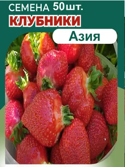 Клубника Азия Семена 50шт. Florali-Flor 253874194 купить за 187 ₽ в интернет-магазине Wildberries