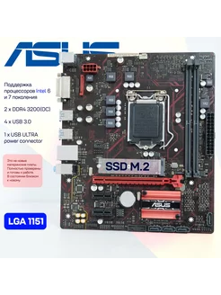 Материнская плата EX-B150M-V5 LGA1151 DDR4 M.2 Micro-ATX ASUS 253952120 купить за 5 543 ₽ в интернет-магазине Wildberries