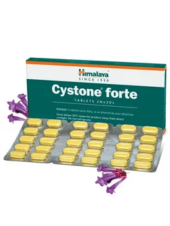 Cyston Forte 60 таб Avina 253955490 купить за 510 ₽ в интернет-магазине Wildberries