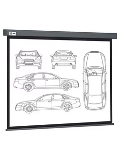 Экран CS-PSW-168X299-SG