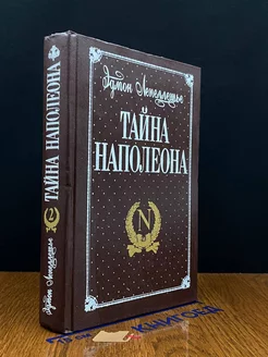 Тайна Наполеона. В трех книгах. Книга 2