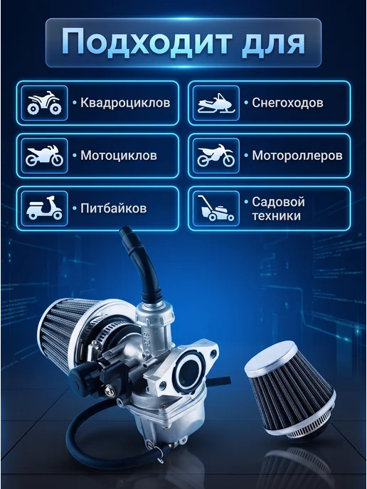 Изис Универсальный карбюратор PZ19 с воздушным фильтром, вариант, фото 3