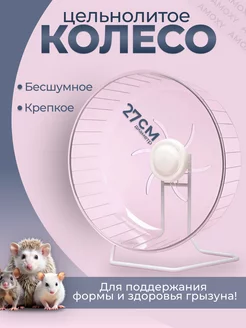 Бесшумное большое беговое колесо для хомяка для крысы Amoxy-pets 254224366 купить за 2 729 ₽ в интернет-магазине Wildberries