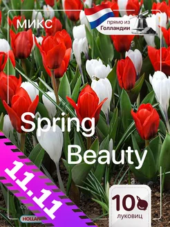 Крокус и тюльпан микс Early Spring Beauty 10 штук Голландия