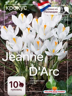 Крокусы луковицы Jeanne D'Arc 10 штук Голландия