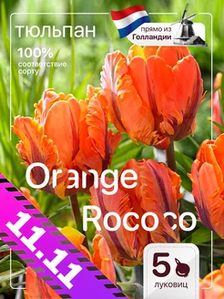 Луковицы тюльпанов Orange Rococo 5 штук Голландия