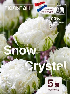 Тюльпаны луковицы многолетние крупные Snow Crystal Голландия