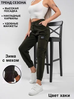 Брюки карго утепленные с мехом Edgar 254257641 купить за 1 058 ₽ в интернет-магазине Wildberries