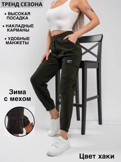 Брюки карго утепленные с мехом Darius 254262834 купить за 969 ₽ в интернет-магазине Wildberries