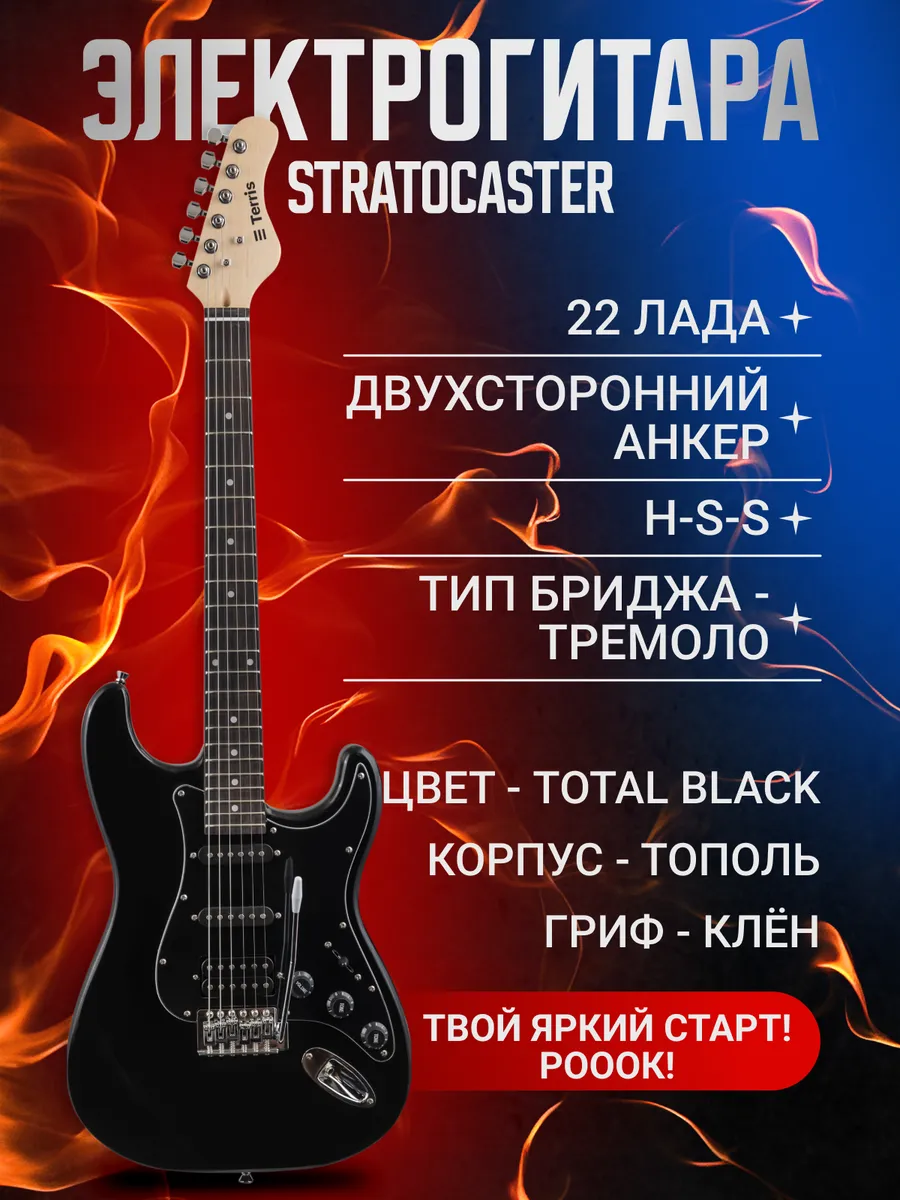 Электрогитара Стратокастер TST-065 BK (Terris)