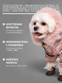 Одежда для собак мелких пород