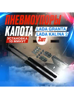 Газовые упоры для капота LADA GRANTA, KALINA 2