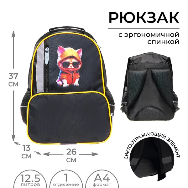 Рюкзак школьный, эргономичная спинка, Орт Крутой кот