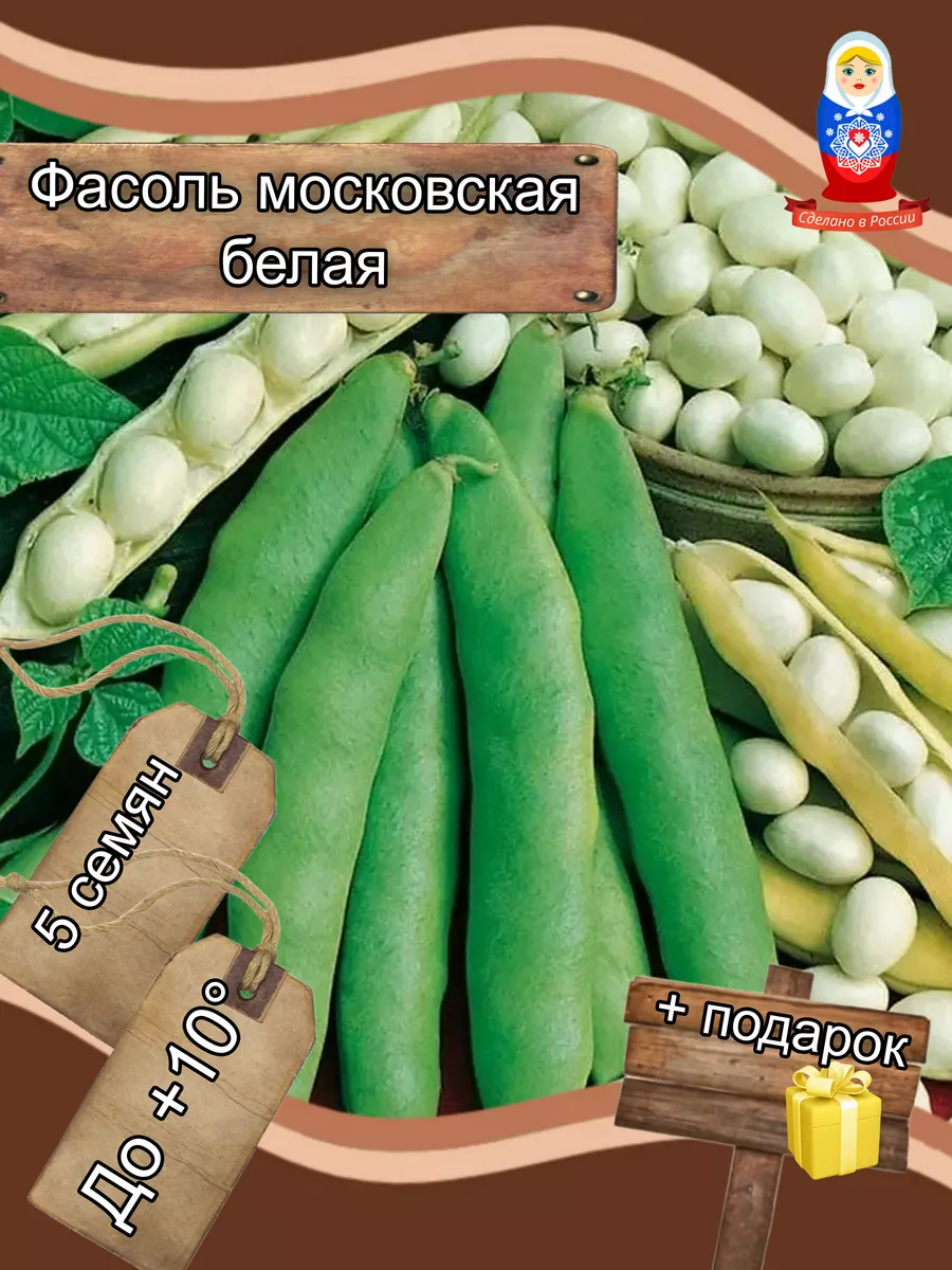 Фасоль московская белая семена