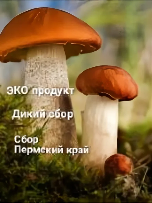 Сушеные грибы, белый гриб, подосиновик, подберезовик 100гр, 100 г, фото 2