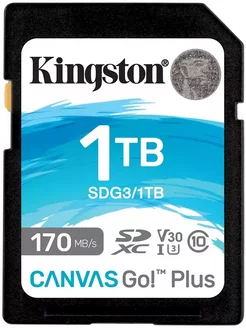 Карта памяти SDXC SDG3 1TB Canvas Go! Plus