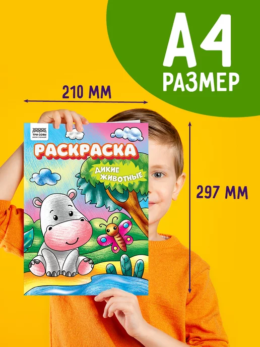 ТРИ СОВЫ Большая раскраска набор 4 штуки, 4 шт, фото 2
