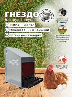 Гнездо для кур несушек с яйцесборником "Компакт" 1-1 Crazy Ferma 254938655 купить за 3 193 ₽ в интернет-магазине Wildberries