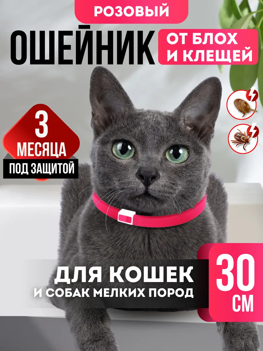 Похожие