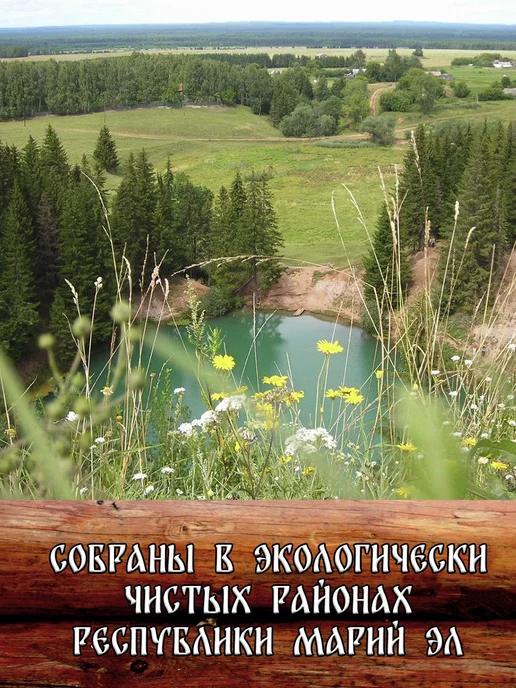веник для бани березовый банный 6 штук, 3 шт, в упаковке 500 г, фото 2