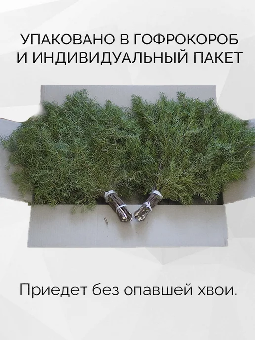 веник для бани березовый банный 6 штук, 3 шт, в упаковке 500 г, фото 3
