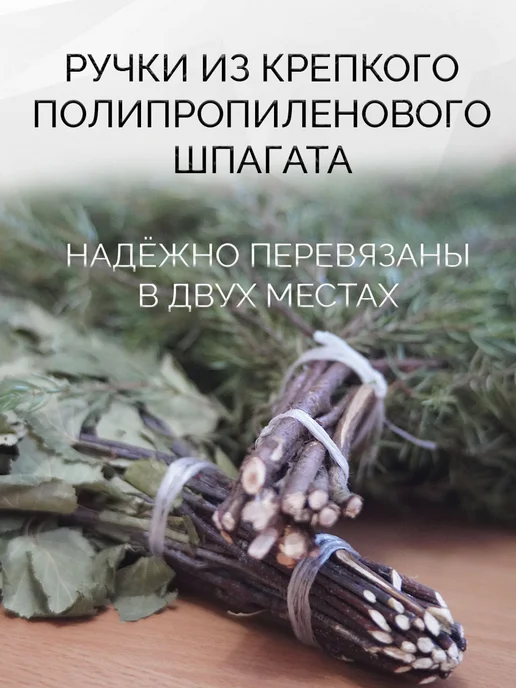 веник для бани березовый банный 6 штук, 3 шт, в упаковке 500 г, фото 5